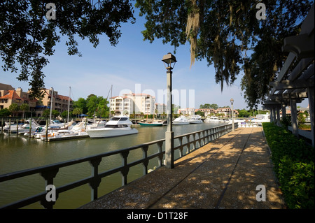 Live oak trees frame a walkway at the Shelter Cove Marina on Hilton Head Island, SC. Stock Photo