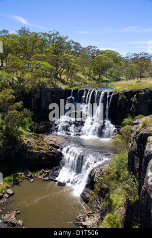 Guy Fawkes River plunging 100m over two waterfalls at Ebor Falls. Guy Fawkes River National Park NSW Australia Stock Photo