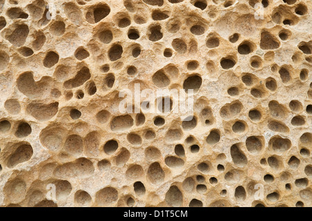 pocketed volcanic tuff rock surface background image Stock Photo