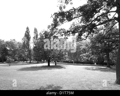 Landscape photograph of trees in Roundwood Park, North west London, NW10 UK, Stock Photo