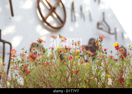 Old, rusting, farm tools hanging on a wall Stock Photo