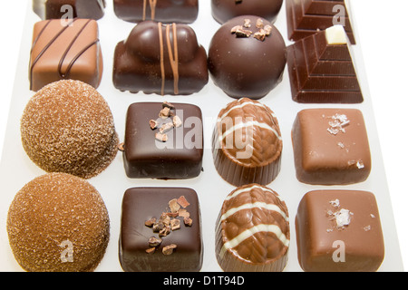 Tray of Dark and Milk Gourmet Chocolate Assortment Stock Photo