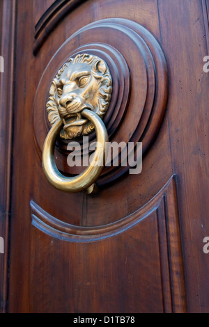 brass lion head shaped door doorknob in expensive urban door Stock Photo