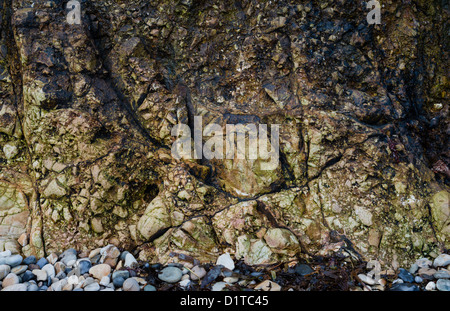 Fault breccia at Howth, Dublin, Ireland, part of a large fault system between the Cambrian and Carboniferous in north Dublin Stock Photo