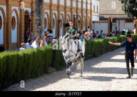 Jerez de la Frontera, Spain, equestrienne in the Royal Andalusian Riding School of Art Stock Photo