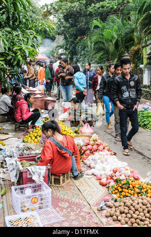 Morning Market Dragon Fruit Oranges Vendors Luang Prabang Laos | LUANG PRABANG, Laos — Vendors display fresh produce on woven mats at a traditional morning street market. The prominent pink dragon fruit (*Selenicereus undatus*) is a climbing cactus native to the Americas, introduced to Indochina by the French in the late 19th century. These daily *talat sao* markets operate in the early hours to avoid the tropical heat, remaining the primary distribution network for local agriculture in this former royal capital. Stock Photo