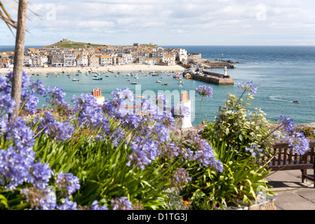 St Ives Harbour Cornwall UK from a flowery viewing point on a sunny summer morning with the tide in. Stock Photo