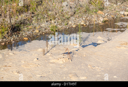 Foam like white pollution on river estuary by Leo Carrillo state beach and sea in California Stock Photo