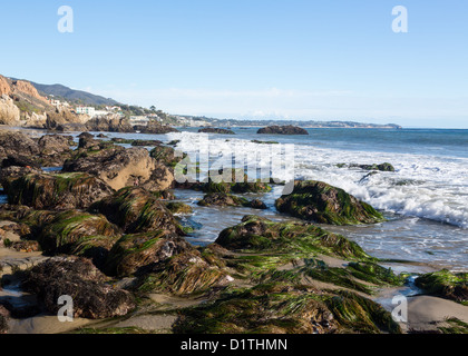 Seaweed covered rocks by ocean on El Matador State Beach Malibu California Stock Photo