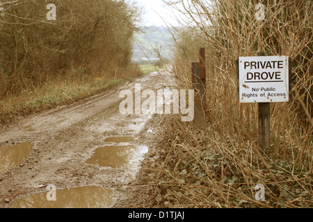 Private drove road, No public right of way sign on a muddy winters farm historic  access drovers road, 5th January 2013 Stock Photo
