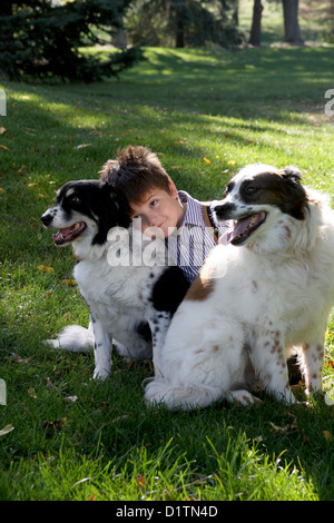 A young farmer boy playing with his two border collie dogs Stock Photo