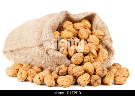 Organic fresh harvested walnuts in burlap sack on white background Stock Photo