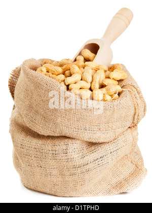 Roasted peanuts with wooden scoop in burlap sack over white background Stock Photo