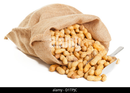 Roasted peanuts with metal scoop in burlap sack over white background Stock Photo