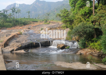 Munnar Kerala India  Munnar is a hill station on the Western Ghats, a range of mountains situated in the Idukki district Stock Photo