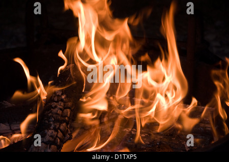 Open flames of a campfire Stock Photo