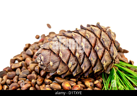 Pine nuts from the cone and cedar branch isolated on white background Stock Photo