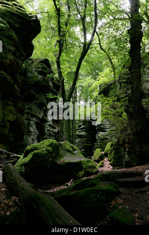Ernzen, Germany, Felsbloecke in the Devil's Canyon Stock Photo