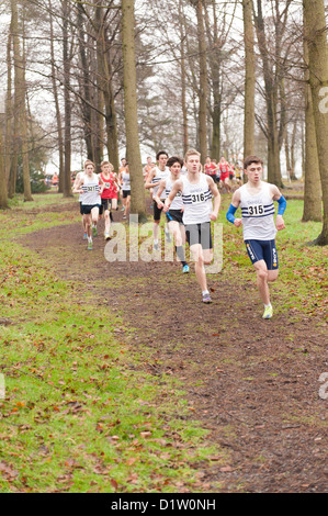Kent Cross country running Championships under 17 boys youth running on trail path through wood in fog and misty conditions Stock Photo