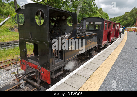 Teifi Valley Railway Wales Stock Photo