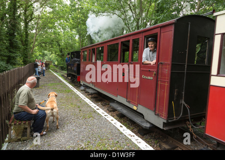 Teifi Valley Railway Wales Stock Photo