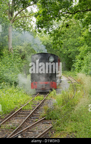 Teifi Valley Railway Wales Stock Photo