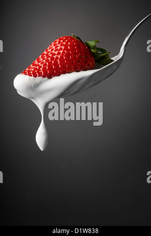 Juicy strawberry and dripping cream from a spoon isolated on gray Stock Photo