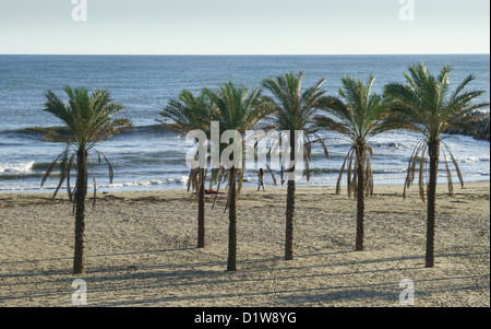 Spain, Andalucia - Artola-Cabopino beach, near Marbella. Surfing beach. Stock Photo