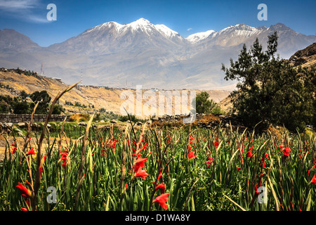 View of Volcano Chachani from, Chili River valley, Arequipa department in southern Peru Stock Photo