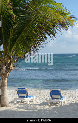 Lounge chairs on a Caribbean beach.  The Reef Resort, Grand Cayman, British West Indies Stock Photo
