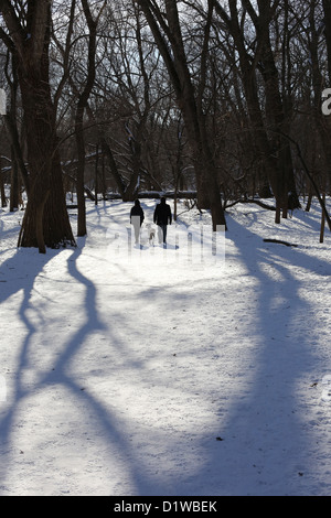 Two people and a dog walking in a snowy forest as seen from behind. Stock Photo