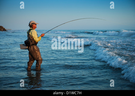 fly fishing for perch in the surf at Padaro Beach, Carpinteria, California, United States of America Stock Photo