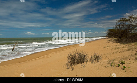 Vast beach with tall dead tree in blue waters of the Pacific Ocean - visible evidence of rising sea levels and climate change Stock Photo