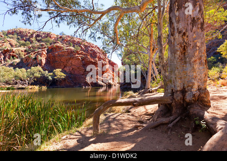 Ellery Creek Big Water Hole Western MacDonnell Ranges Central Australia Stock Photo