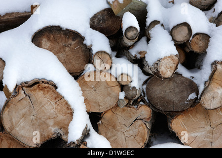 pile of logs covered in snow in Forget Saskatchewan Canada Stock Photo