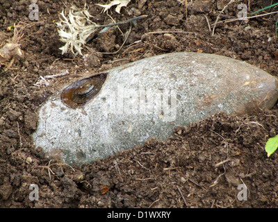 an unexploded bomb from World War II found in the ground Stock Photo