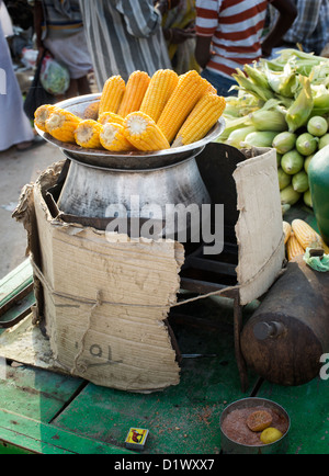 Cooked sweet corn on the cob being sold on an Indian street. Puttaparthi. Andhra Pradesh, India