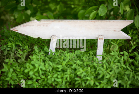 Old wooden arrow indicating the direction in the park Stock Photo