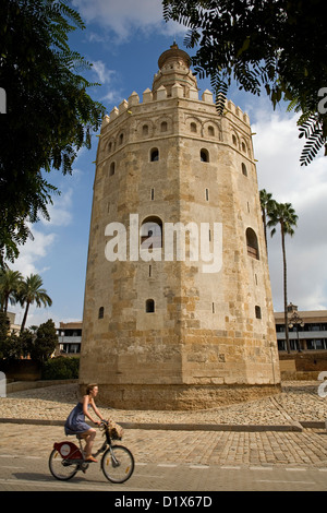 Torre del Oro monument Sevilla Andalusia Spain Stock Photo