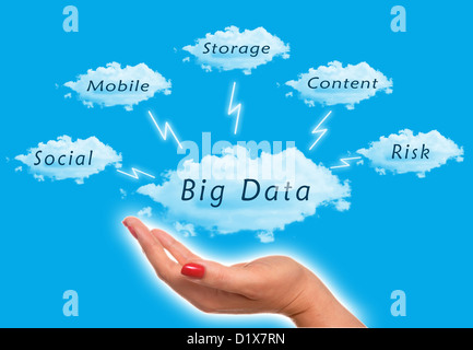 Big Data diagram with woman holding the clouds in the sky Stock Photo