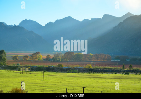 Autumn colours in the Hex River valley near Worcester, Western Cape, South Africa Stock Photo