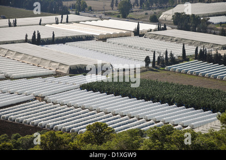 Israel, Coastal plains as seen from the Carmel mountain agricultural greenhouses Stock Photo