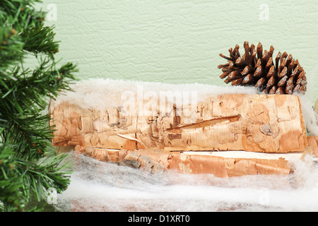 abstract composition from fir branches and birch logs Stock Photo