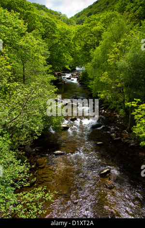 Stream brook running through English countryside Stock Photo