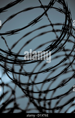 Razor wire Stock Photo