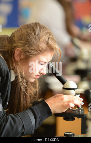 School girls using microscopes during a science lesson at Pates Grammar School in Cheltenham, Gloucestershire UK Stock Photo
