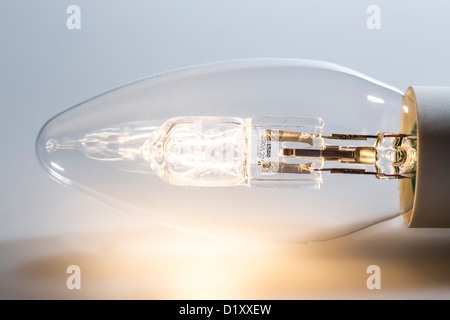Halogen light bulb, energy saving lamps. Electric light. Stock Photo