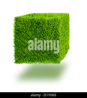 Cube of grass against a white background Stock Photo