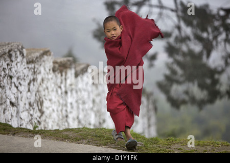 Young monk studying In Monastery Tawang, Arunachal Pradesh, India. Stock Photo