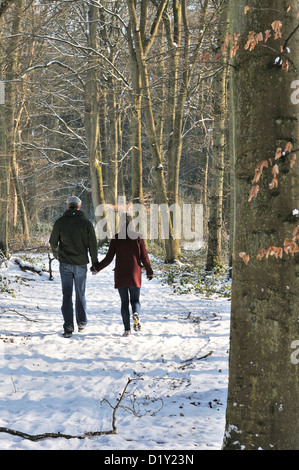 Walkers enjoying a stroll in the  woods after  a fall of snow near Mapledurham, Oxfordshire England Stock Photo
